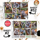 Cute Koala #368 || ECLP Weekly & Monthly